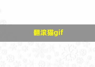 翻滚猫gif