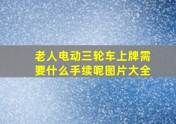 老人电动三轮车上牌需要什么手续呢图片大全