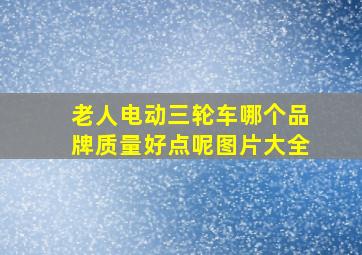 老人电动三轮车哪个品牌质量好点呢图片大全