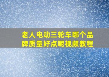 老人电动三轮车哪个品牌质量好点呢视频教程