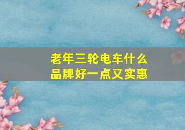 老年三轮电车什么品牌好一点又实惠