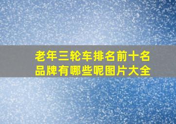 老年三轮车排名前十名品牌有哪些呢图片大全