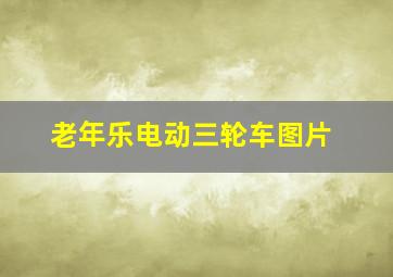 老年乐电动三轮车图片