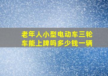 老年人小型电动车三轮车能上牌吗多少钱一辆