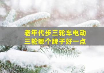 老年代步三轮车电动三轮哪个牌子好一点