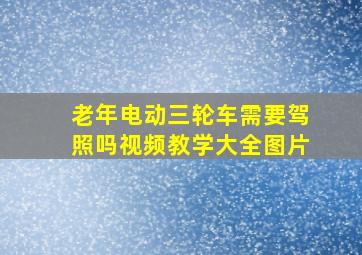 老年电动三轮车需要驾照吗视频教学大全图片