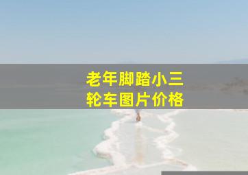 老年脚踏小三轮车图片价格