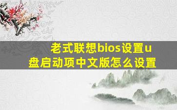 老式联想bios设置u盘启动项中文版怎么设置