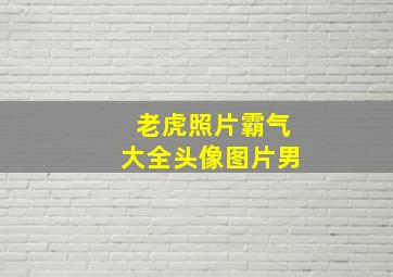 老虎照片霸气大全头像图片男