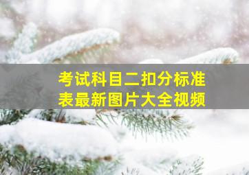 考试科目二扣分标准表最新图片大全视频