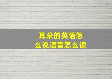 耳朵的英语怎么说语音怎么读