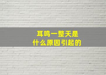 耳鸣一整天是什么原因引起的