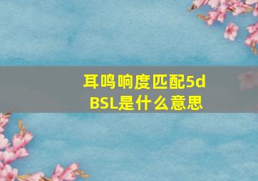 耳鸣响度匹配5dBSL是什么意思