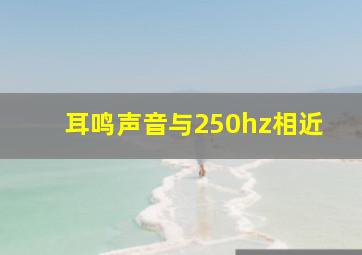 耳鸣声音与250hz相近