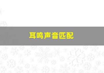 耳鸣声音匹配