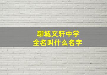 聊城文轩中学全名叫什么名字