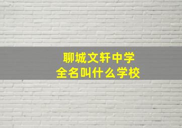 聊城文轩中学全名叫什么学校