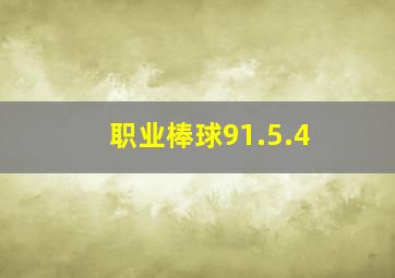 职业棒球91.5.4