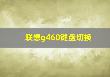 联想g460键盘切换