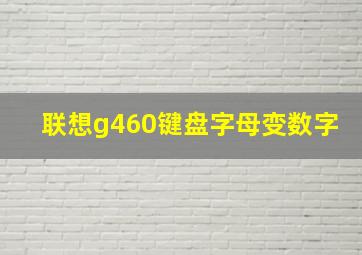 联想g460键盘字母变数字