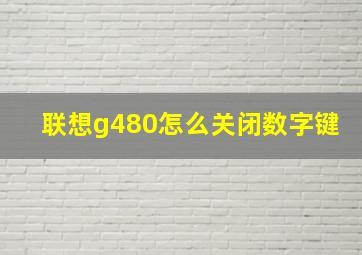 联想g480怎么关闭数字键