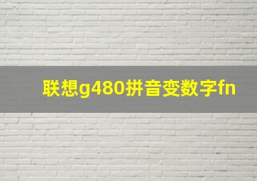 联想g480拼音变数字fn