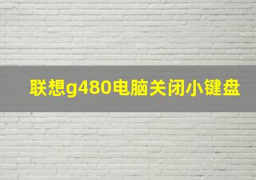 联想g480电脑关闭小键盘