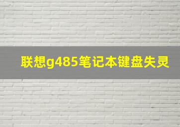 联想g485笔记本键盘失灵