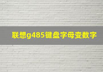 联想g485键盘字母变数字