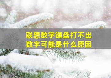 联想数字键盘打不出数字可能是什么原因