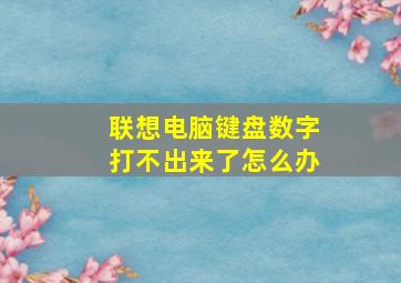 联想电脑键盘数字打不出来了怎么办