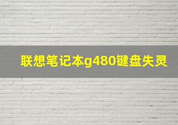 联想笔记本g480键盘失灵