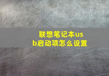 联想笔记本usb启动项怎么设置