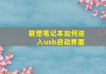 联想笔记本如何进入usb启动界面