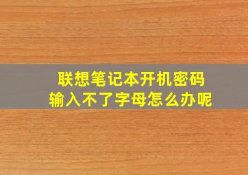 联想笔记本开机密码输入不了字母怎么办呢