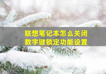 联想笔记本怎么关闭数字键锁定功能设置