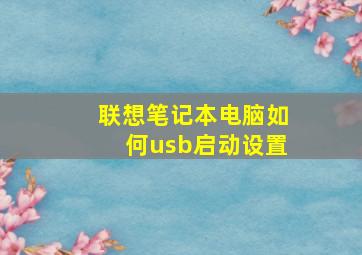 联想笔记本电脑如何usb启动设置