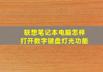 联想笔记本电脑怎样打开数字键盘灯光功能