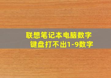 联想笔记本电脑数字键盘打不出1-9数字