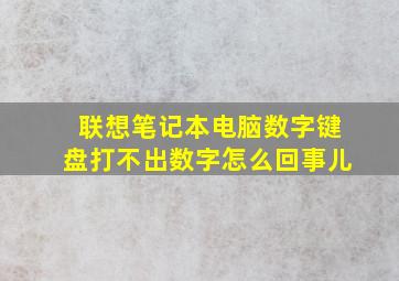 联想笔记本电脑数字键盘打不出数字怎么回事儿