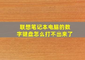 联想笔记本电脑的数字键盘怎么打不出来了