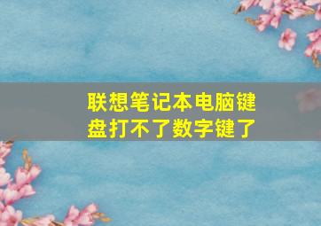 联想笔记本电脑键盘打不了数字键了