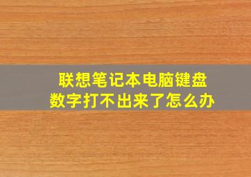 联想笔记本电脑键盘数字打不出来了怎么办