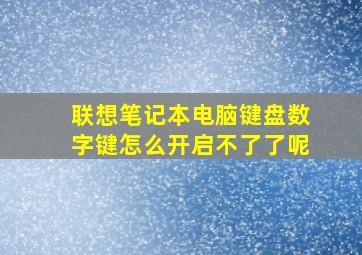 联想笔记本电脑键盘数字键怎么开启不了了呢