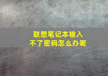 联想笔记本输入不了密码怎么办呢