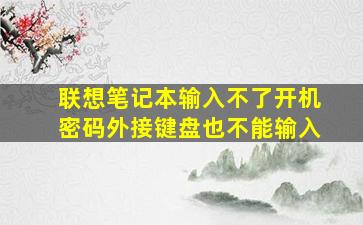 联想笔记本输入不了开机密码外接键盘也不能输入