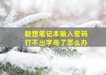 联想笔记本输入密码打不出字母了怎么办