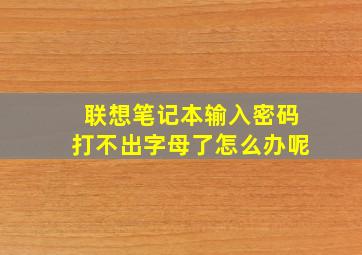 联想笔记本输入密码打不出字母了怎么办呢