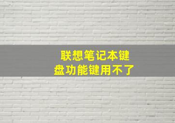 联想笔记本键盘功能键用不了