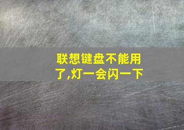 联想键盘不能用了,灯一会闪一下